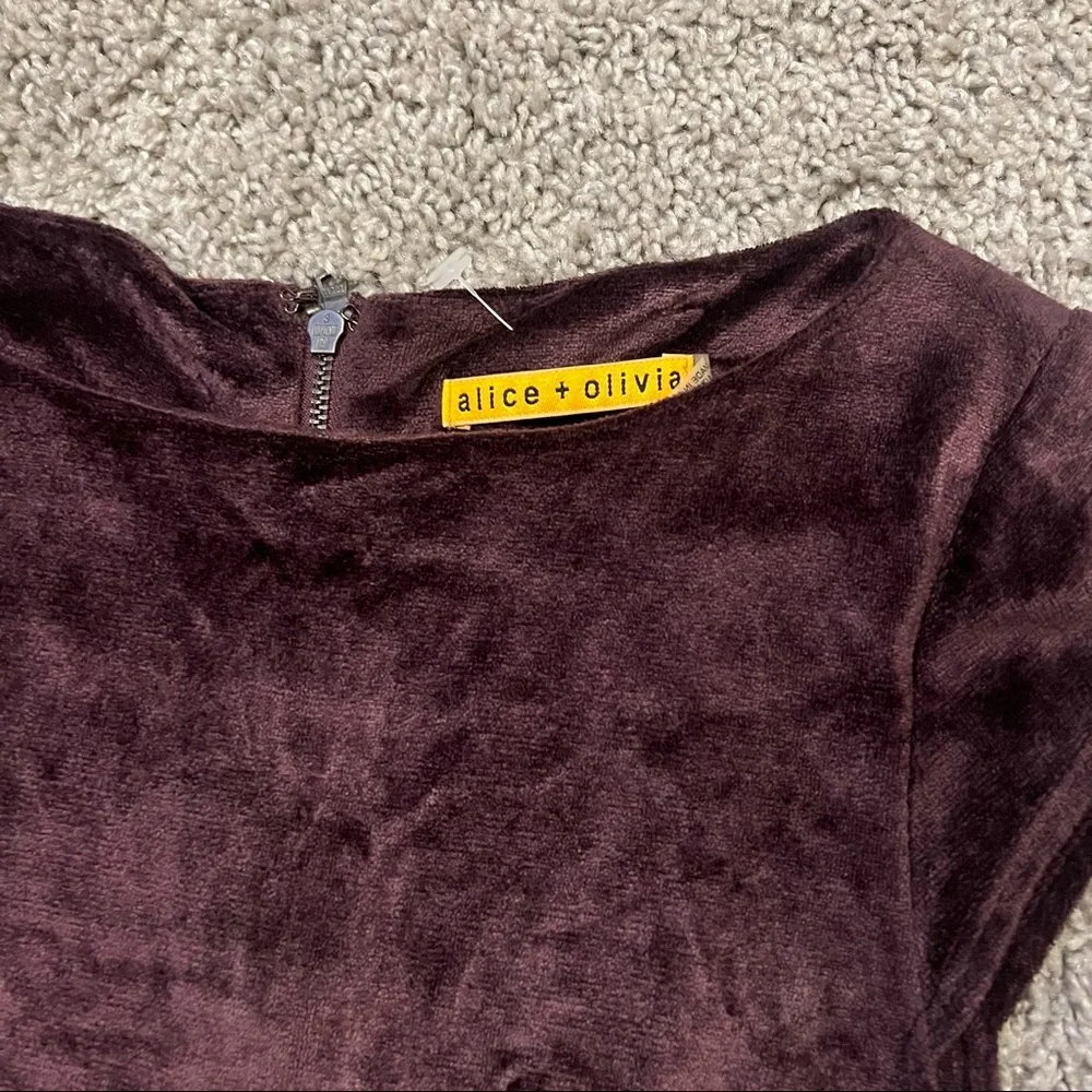 Alice + Olivia Velvet Dress - Picture 10 of 12